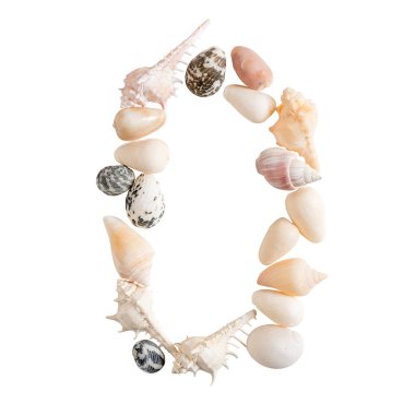 cl izole beyaz zemin üzerine çeşitli deniz kabukları numarası 0