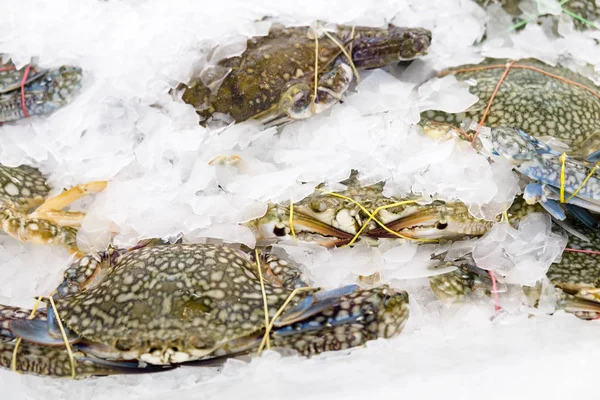 Fresh crabs frozen in ice, natural sea food in the market