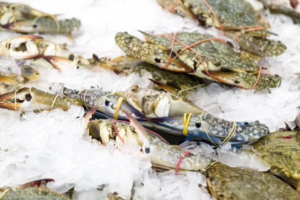 Fresh crabs frozen in ice, natural sea food in the market