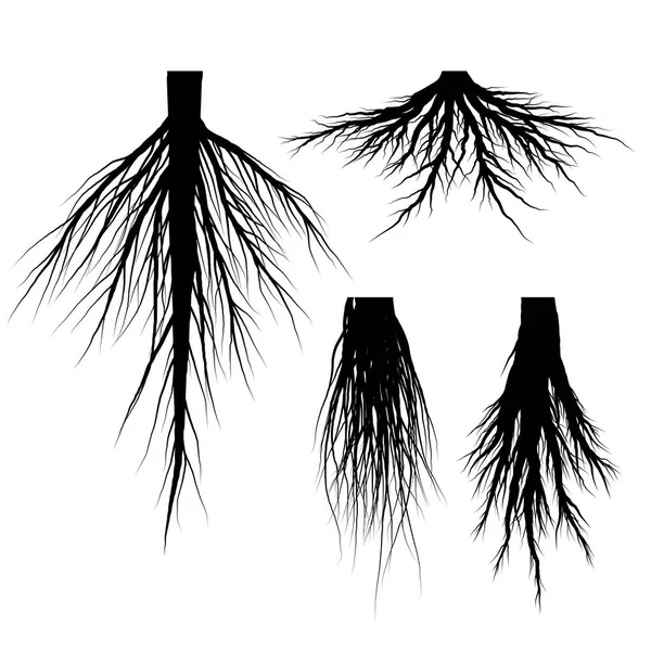 Silueta Vektor Kořeny Stromu Černá Přírodní Prvek Scénografie — Stockový vektor