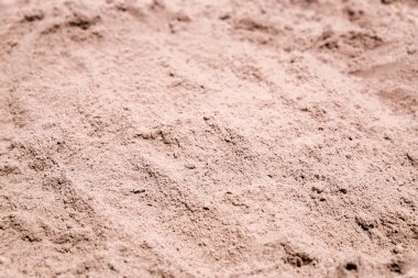 Peynir altı suyu Protien tozu kavanozun içinde yakın çekim.