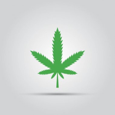 Yeşil marihuana yaprağı izole vektör renkli simge