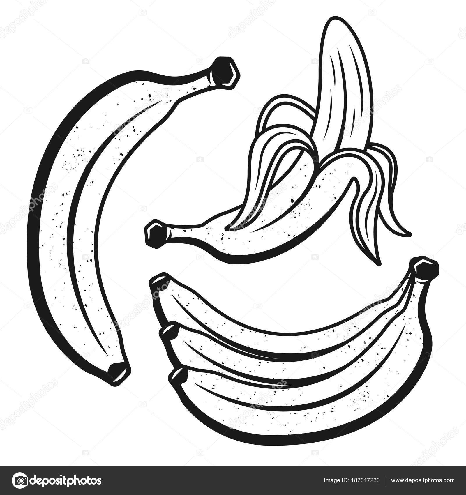 Set Of Bananas Monochrome Vector Objects Or Design Elements On White Background Stock Vector C Flat Enot 187017230