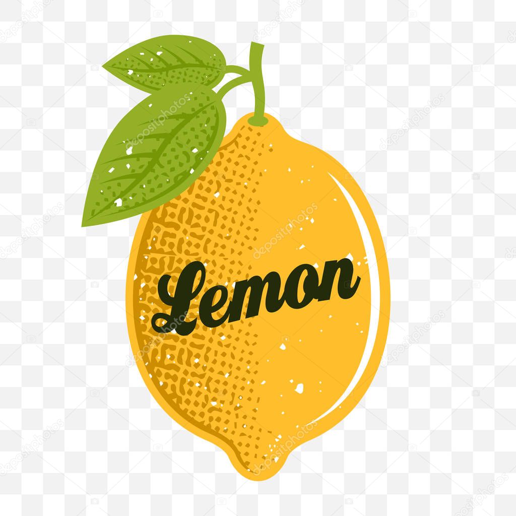 Lemon with textures shadow and text vector colored illustration isolated on transparent background