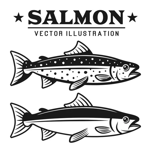 Ensemble de poissons de saumon de deux styles éléments vectoriels — Image vectorielle