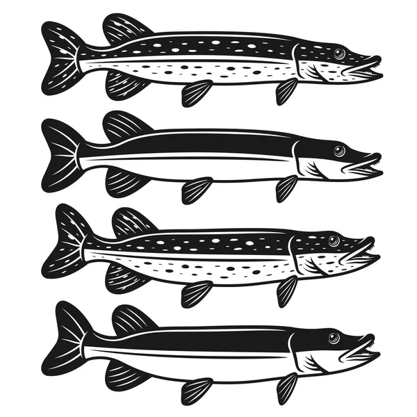 Pike conjunto de peces de cuatro estilos de ilustración vectorial — Archivo Imágenes Vectoriales