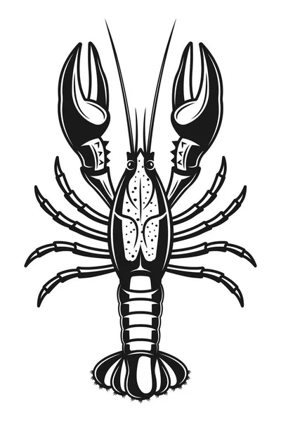 Crayfish vector detailed monochrome illustration — Stock Vector