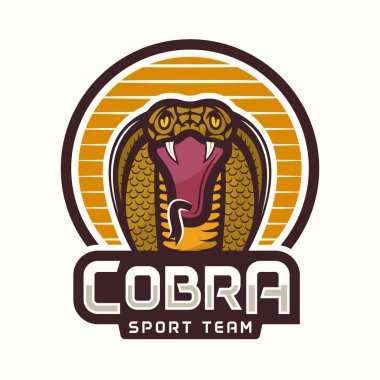 Cobra spor takımı renkli amblem daire
