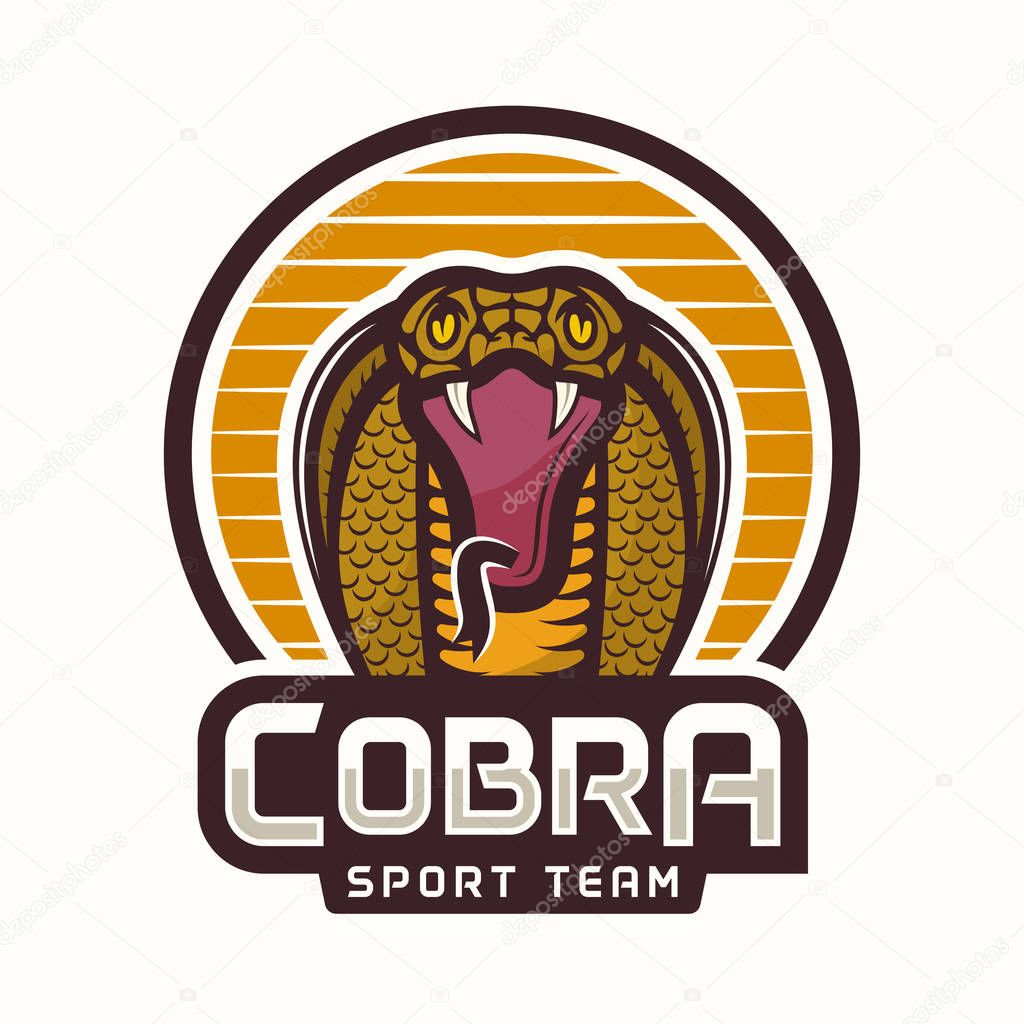 Cobra sport team colored logo or emblem with circle vector illustration isolated on light background