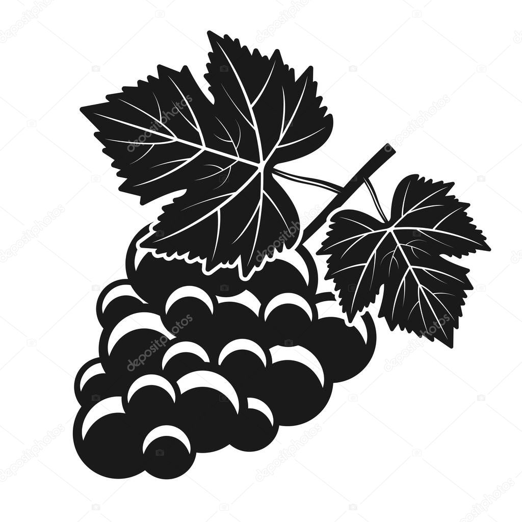 Bunch of grapes vector isolated object or element