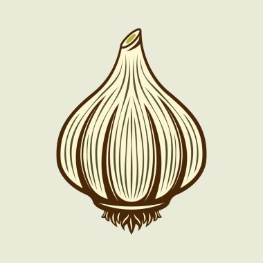 Sarımsaklı baharat ürün vektörü renkli illüstrasyon