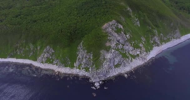 在1937年在俄罗斯创建的 Sikhote Alin 保护区的岩石悬崖上的极化 格式的视频显示了海豹的栖息地 — 图库视频影像