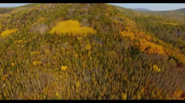 Havadan görünümü. Sonbahar sayısı Bikin Primorsky Krai milli parkta
