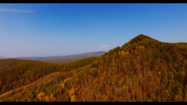 Luftaufnahme Herbst Ansichten Des Bikin Nationalparks Der Primorsker Region — Stockvideo