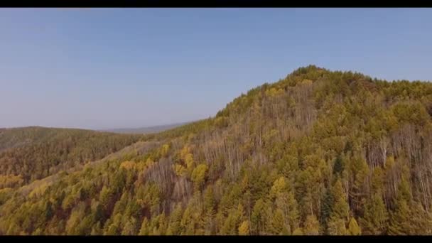 Flygfoto Höstens Visningar Bikin National Park Primorsky Krai — Stockvideo