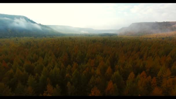 Luchtfoto Herfst Uitzicht Van Het Nationaal Park Van Bikin Primorsky — Stockvideo