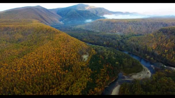 Luchtfoto Herfst Uitzicht Van Het Nationaal Park Van Bikin Primorsky — Stockvideo