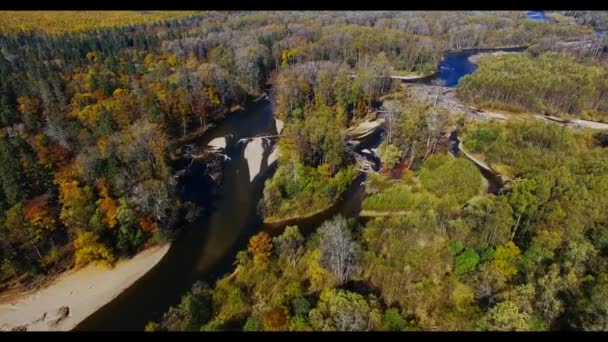 Havadan Görünümü Sonbahar Sayısı Bikin Primorsky Krai Milli Parkta — Stok video