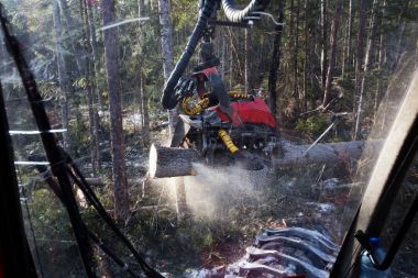 Günlüğe kaydetme, ağaç işleri, ahşap depolama, Tayga ormansızlaşma ormansızlaşma,