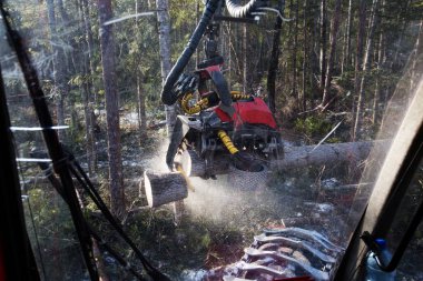 Günlüğe kaydetme, ağaç işleri, ahşap depolama, Tayga ormansızlaşma ormansızlaşma,