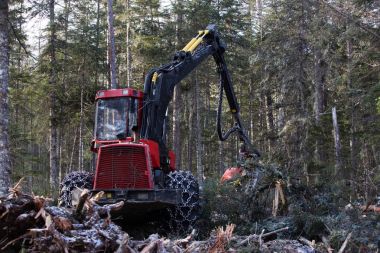 Günlüğe kaydetme, ağaç işleri, ahşap depolama, Tayga ormansızlaşma ormansızlaşma,