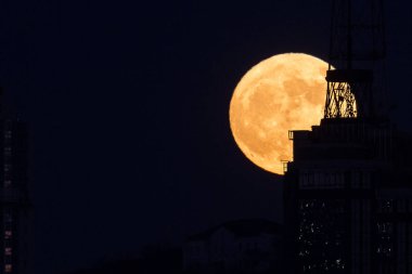 Aralık 2017 yılında Super Bowl ayında Vladivostok