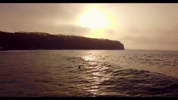 Surf Inverno Primorsky Krai Rússia Esportes Radicais Inverno — Vídeo de Stock