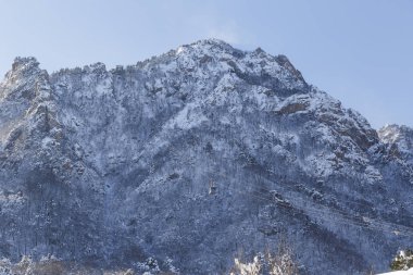 Tarafından beyaz kar kaplı Kış manzarası 