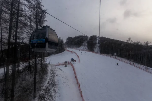 Pyeongchang Corea Del Sur Diciembre 2016 Está Estación Esquí Alpensia — Foto de Stock