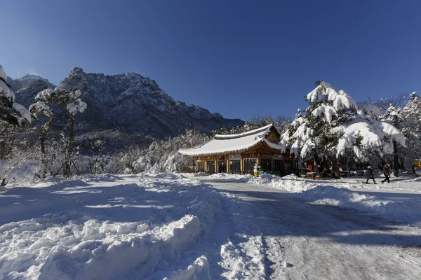 Templo Budista Invierno Corea Del Sur Sin Gente Pacificación Meditación —  Fotos de Stock