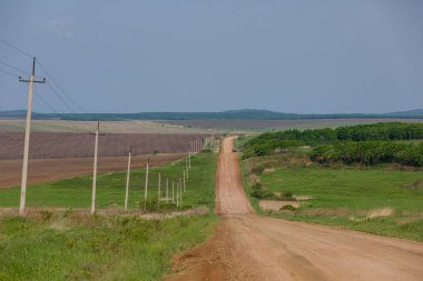 Tarım alanları yazın. Buğday ekilen alanlardır. Traktör ve birleştirme hasat.