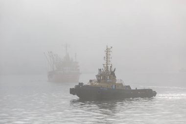 Deniz-tekne-tug Vladivostok siste Haliç Bay'de su alanında