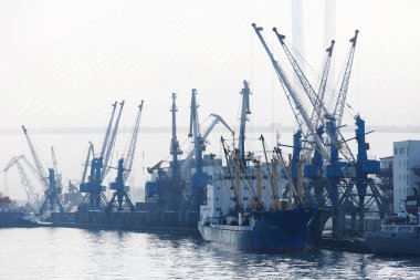 Vladivostok, Rusya - Ağustos, 2017: Vladivostok ticari liman. Vladivostok içinde konteyner terminalleri