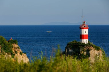 Cape Basargin, Haliç Bay, Vladivostok sembolü fenerinde. Çöpünü Adası. Manzara panorama. Japon Denizi.