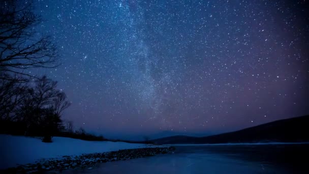 Winter Forest Timelapse Frostiga Och Ren Luft Natthimmel Med Miljontals — Stockvideo