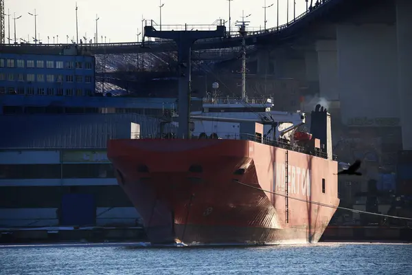 Vladivostok Ryssland 2017 Handelsfartyg Och Krigsfartyg Redden Golden Horn Bay — Stockfoto