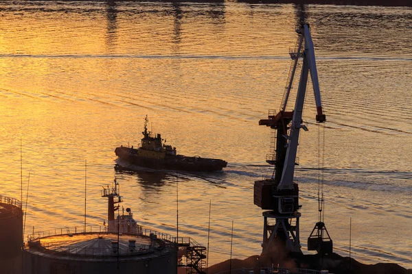 Vladivostok Rusko 2017 Obchodník Válečných Lodí Rejdě Zátoce Zlatý Roh — Stock fotografie