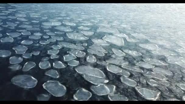 Flying Arctic Ice Floes — Stockvideo