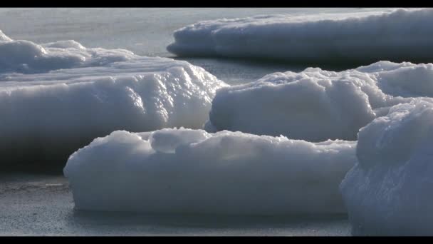 Πλωτή Πάγου Στη Θάλασσα Κοντά Στην Ακτή — Αρχείο Βίντεο