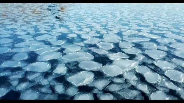 Repülő Felett Sarkvidéki Jég Floes — Stock videók