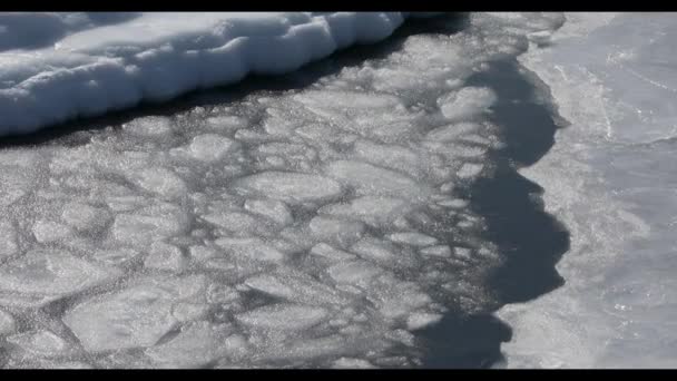 Floating Ice Sea Shore — Stock Video