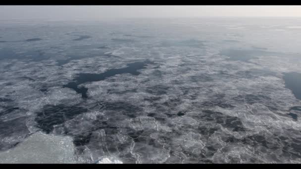 Survoler Les Flots Glace Arctique — Video