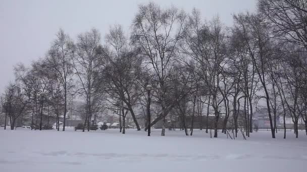 Люди Йдуть Бізнес Снігопад Люди Йдуть Снігу Місті Снігопад — стокове відео