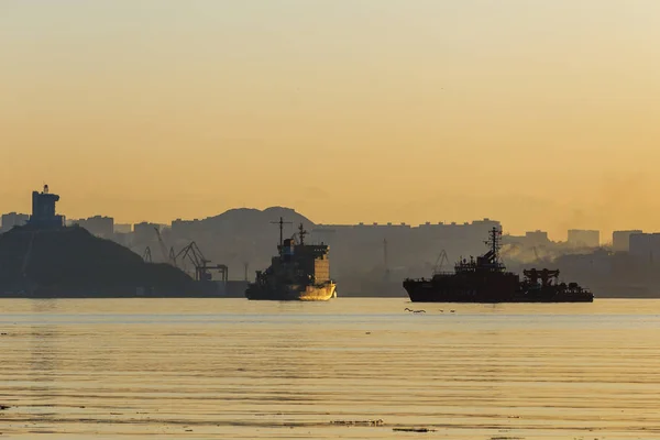 Cargo Ships Container Ships Golden Horn Bay Background Russian Bridge — Stock Photo, Image