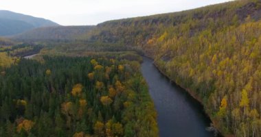 Havadan görünümü. Güzel güneşli orman ağaçların Bikin Milli Parkı üzerinden uçan, Primorye topraklarının yerli nüfusun yaşadığı Udege yerdir. Hava kamera çekim. Manzara panorama. Primorsky region, Rusya Federasyonu