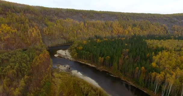 Luftaufnahme Der Flug Über Die Wunderschönen Sonnigen Waldbäume Des Bikin — Stockvideo