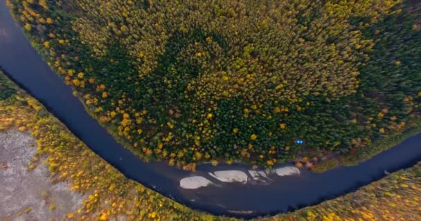 飞越葛欧德国家公园美丽的阳光森林树木 Primorye 领土土著居民居住的地方是 Udege 空中摄像头拍摄 风景全景 滨海区符拉迪沃斯托克地区 俄罗斯 — 图库视频影像