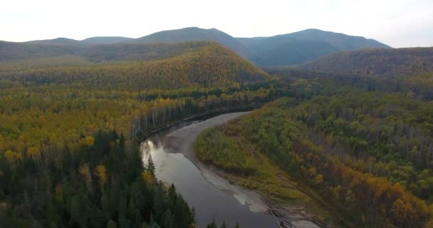 Vista Aerea Sorvolando Bellissimi Alberi Foresta Soleggiati Del Bikin National — Video Stock