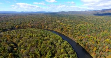 Havadan görünümü. Güzel güneşli orman ağaçların Bikin Milli Parkı üzerinden uçan, Primorye topraklarının yerli nüfusun yaşadığı Udege yerdir. Hava kamera çekim. Manzara panorama. Primorsky region, Rusya Federasyonu