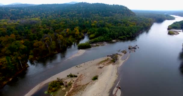 Vista Aerea Sorvolando Bellissimi Alberi Foresta Soleggiati Del Bikin National — Video Stock